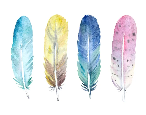 Beyaz arka planda izole edilmiş renkli suluboya kuş tüyü. Dekorasyon ve düğün davetiyeleri için tasarım ögeleri.