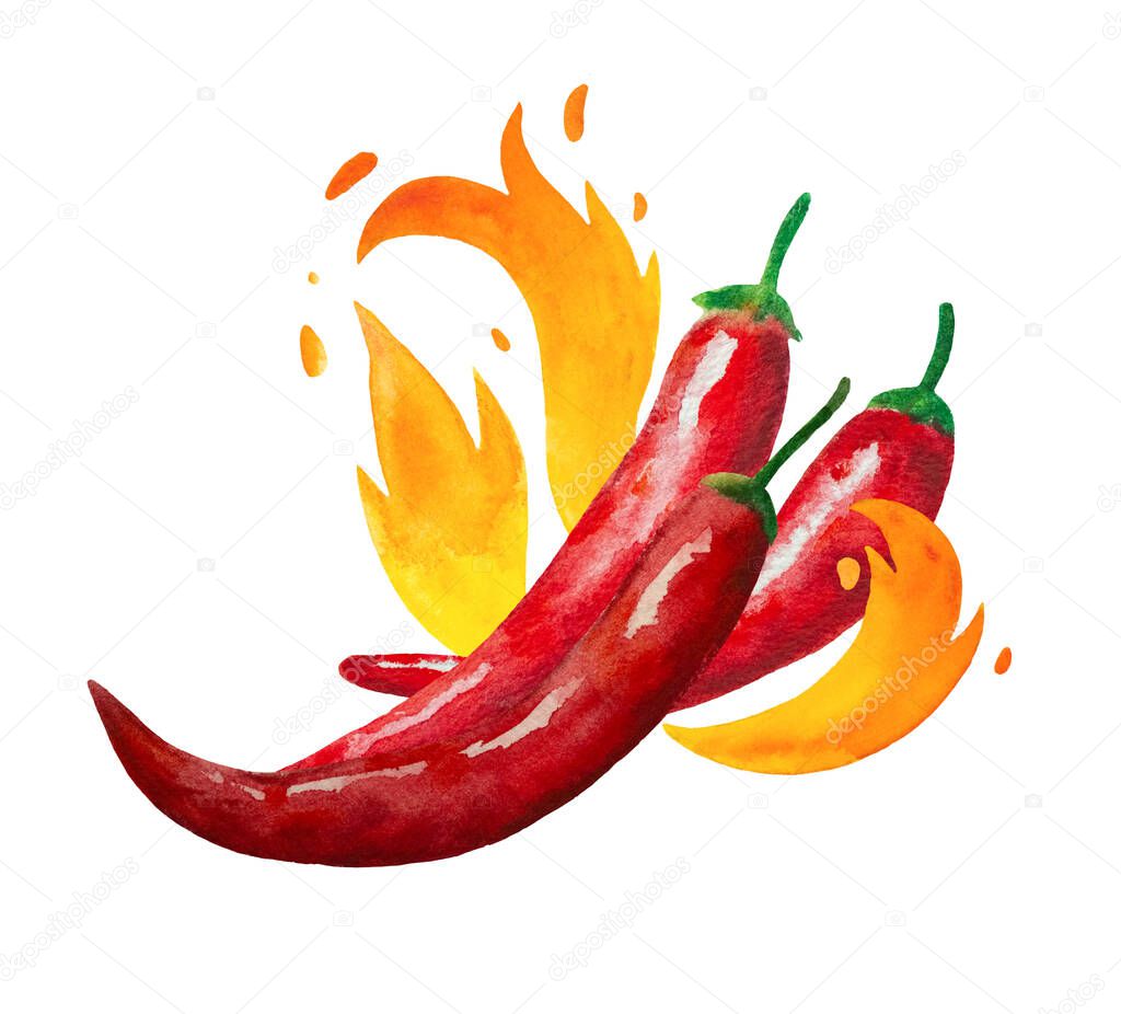 Watercolor painted red hot chili peppers with fire flames isolated on white background. Design element for menu and restaurants.