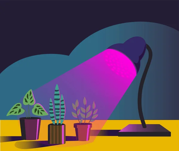 Будинок садівництва рослин під фіолетовим світлом фітолампи. Векторні ілюстрації в простому мультиплікаційному стилі . — стоковий вектор
