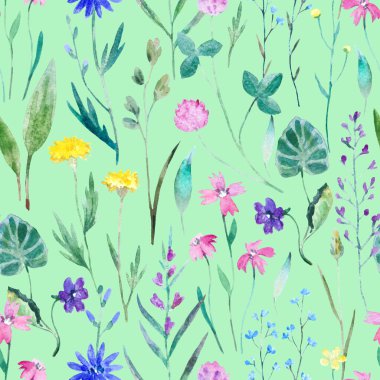 Vahşi çayır çiçekleriyle sulu boya desenli. Dekor ve tekstil tasarımı için orijinal el yazısı.