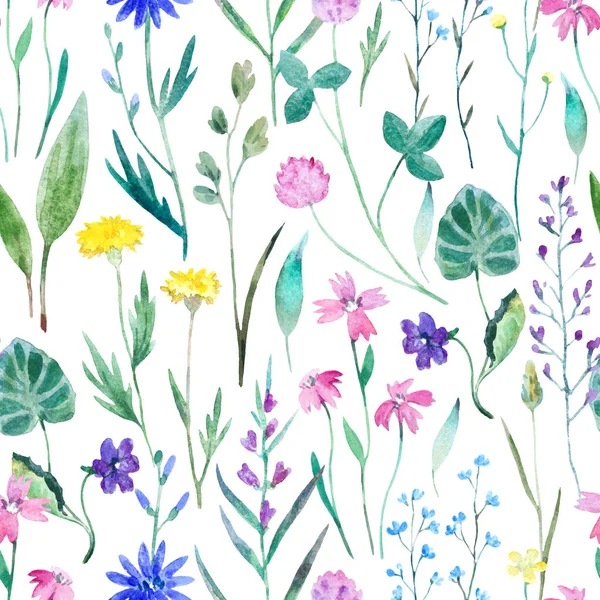 Vahşi çayır çiçekleriyle sulu boya desenli. Dekor ve tekstil tasarımı için orijinal el yazısı. — Stok fotoğraf