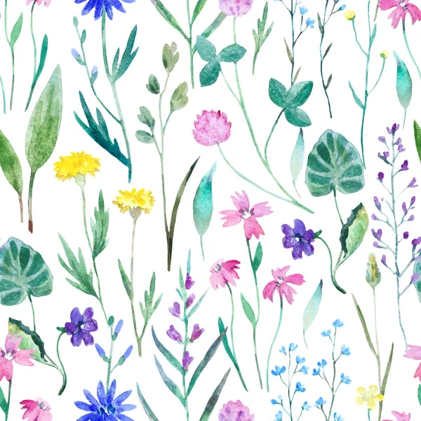 Aquarelle motif sans couture avec des fleurs de prairie sauvage. Impression originale dessinée à la main pour la décoration et le design textile. — Photo