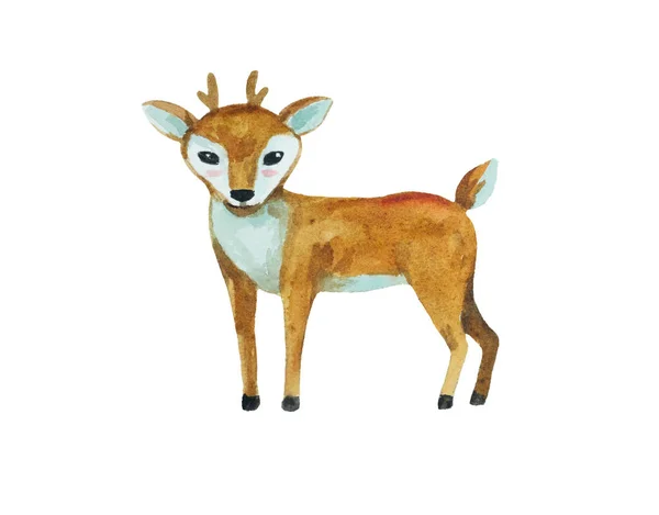 Cute cartoon watercolor painted deer baby isolated on white background. — Stock Photo, Image