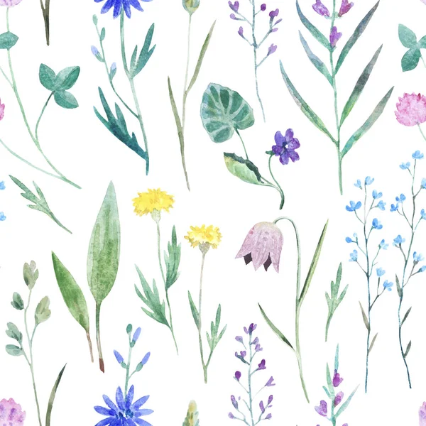 Aquarel naadloos patroon met wilde weidebloemen. Originele met de hand getekende natuurprint voor decor en textiel ontwerp. — Stockfoto