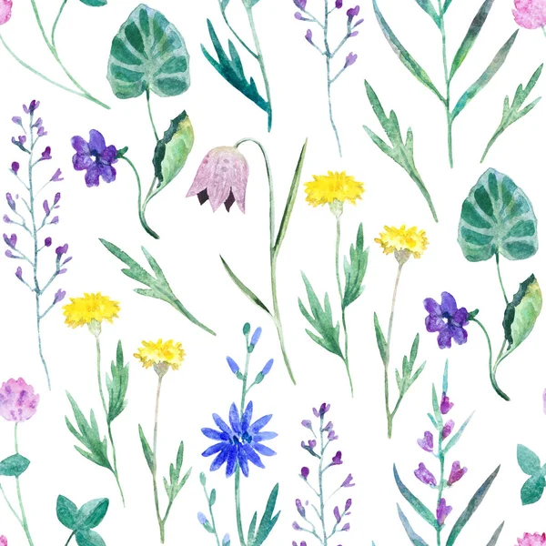 Watercolor seamless pattern with wild meadow flowers. Original hand drawn nature print for decor and textile design.