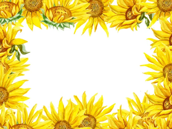 Квіткова рамка з соняшниками. Акварель рука намальована ілюстрація . — стокове фото