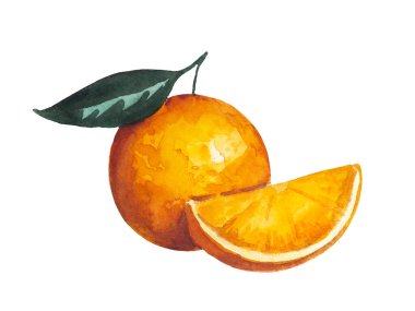 Olgun renkli, canlı, yapraklı portakal meyvesi. Suluboya resimleme