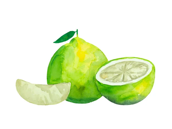 Fruta de pomelo vibrante colorido maduro con hojas. Acuarela ilustración pintada. — Foto de Stock