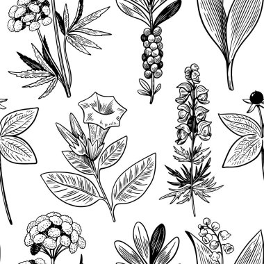 Kusursuz desenli, el çizimi, klasik oyma tarzında yabani bitkiler. Tasarım ve ambalaj için tıbbi şifalı bitkiler. 