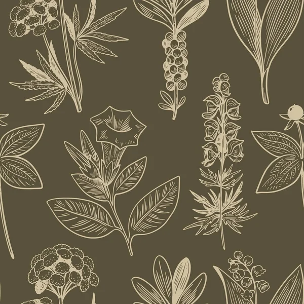 Patrón sin costuras con plantas silvestres dibujadas a mano en estilo grabado vintage. Fondo de hierbas médicas para el diseño y el embalaje. — Vector de stock