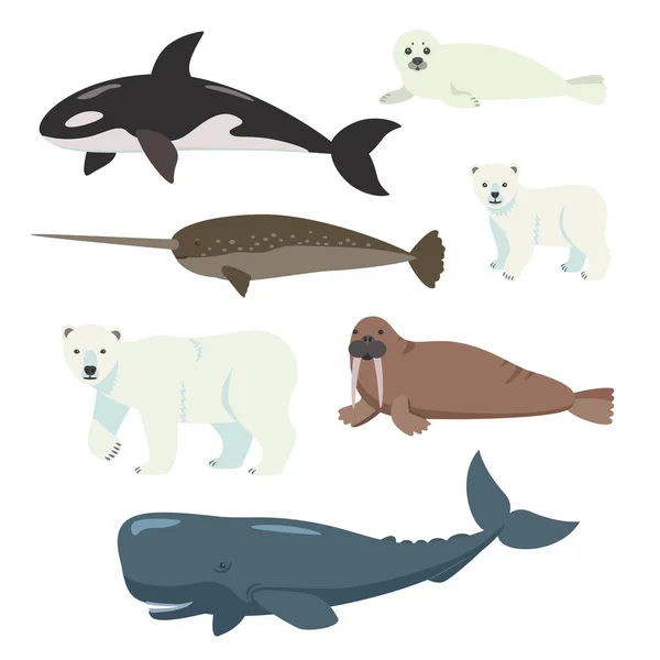 Set von Zeichentrickpolartieren, Walen und Bären isoliert auf weißem Hintergrund — Stockvektor