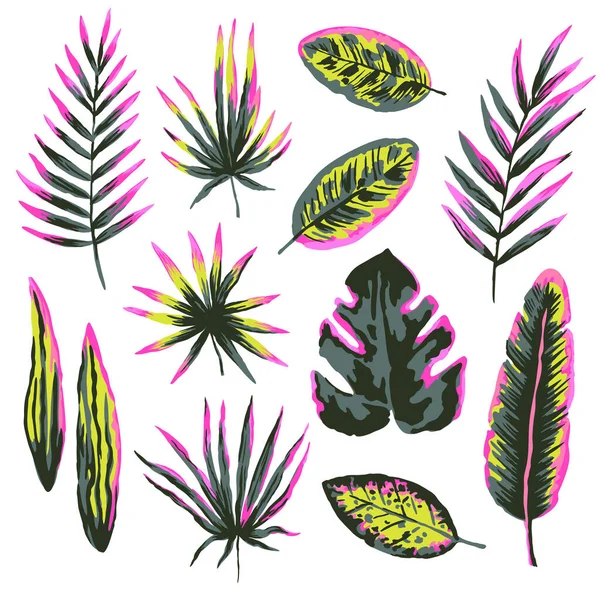 Набір художніх барвистих сучасних тропічних листя і рослин, ізольовані на білому тлі . — стоковий вектор