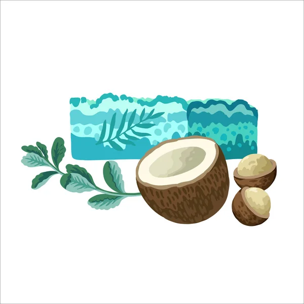 Tangan berwarna membuat sabun dengan kelapa, makadamia dan mint. Ilustrasi diisolasi pada latar belakang putih. - Stok Vektor