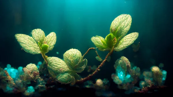 3D illustration. Beautiful green underwater plants with sunrays