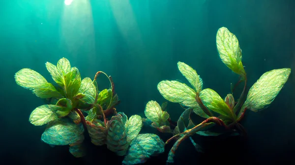 3D rendering. Beautiful green underwater plants with sunrays. CG artwork illustration