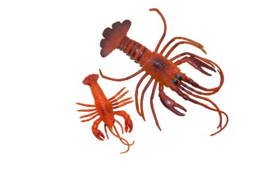 Beyaz arkaplan görünümünde izole edilmiş kerevit