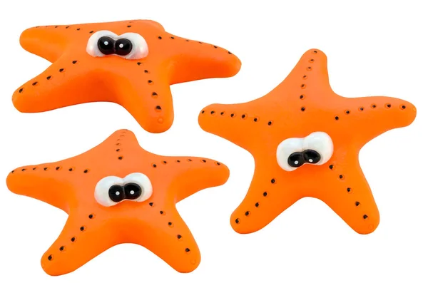 turuncu denizyıldızı beyaz arkaplanda izole