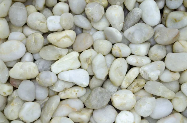 Sahildeki duvar kağıdındaki beyaz deniz taşlarının ve çakıl taşlarının arka planı