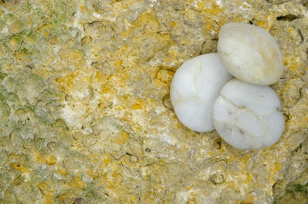 Eski sarı kireçtaşı duvar kenarlarında beyaz deniz taşları ve yosun var.