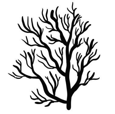 bitki unsurları, çiçekler, karalamalar, doğrusal siyah çizim, kurumuş çiçek, orman çiçekleri, çalılar, dallar, zikzaklar, damlalar, dalgalı çizgiler, illüstrasyon, botanik, çiçekçilik, grafik çizim