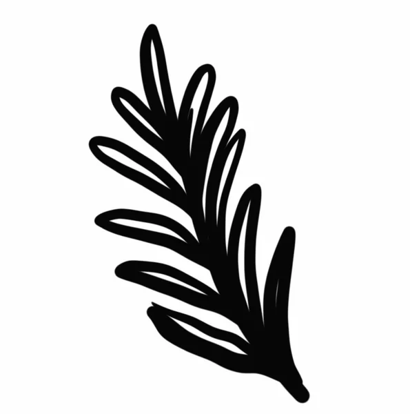 Vegetation Elements Flowers Doodles Linear Black Outline Drawing Dried Flower — Stockfoto