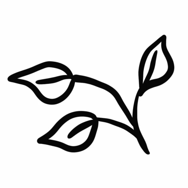 Vegetation Elements Flowers Doodles Linear Black Outline Drawing Dried Flower — Stockfoto