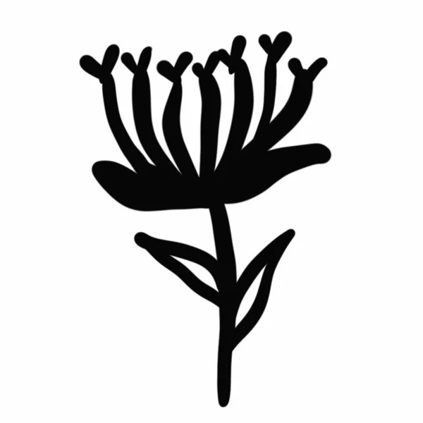 Vegetation Elements Flowers Doodles Linear Black Outline Drawing Dried Flower Stockfoto
