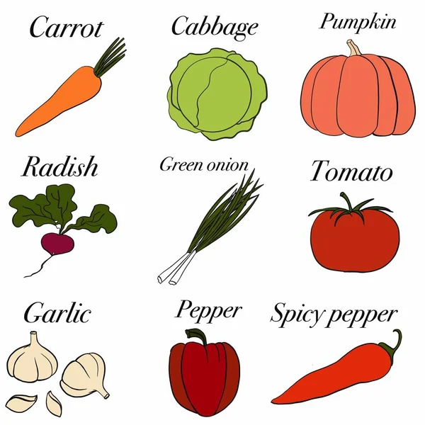 Овочі Продукти Харчування Рослини Продукти Харчування Вегетаріанська Їжа Червона Жовта — стокове фото