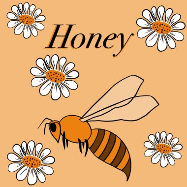 bal, tatlılık, arılar, arılar, arılar bal toplar, arı ürünleri, bal kavanozları, bir kase bal, çiçekler, nektar, arılar nektar toplar, bal peteği, sarı, bal, bal, yazıt, ticari resim, eğitici resim,