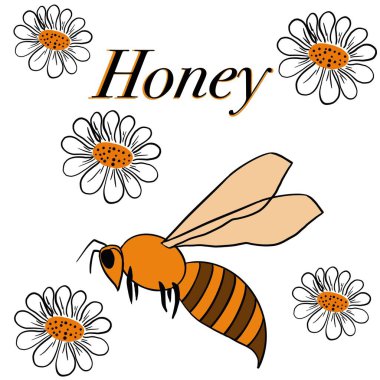 bal, tatlılık, arılar, arılar, arılar bal toplar, arı ürünleri, bal kavanozları, bir kase bal, çiçekler, nektar, arılar nektar toplar, bal peteği, sarı, bal, bal, yazıt, ticari resim, eğitici resim,