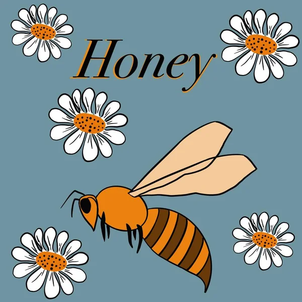 Мед Солодкість Іпіарій Бджіл Бджіл Збирають Мед Продукти Бджіл Солодощі — стокове фото