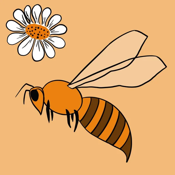 Мед Солодкість Іпіарій Бджіл Бджіл Збирають Мед Продукти Бджіл Солодощі — стокове фото
