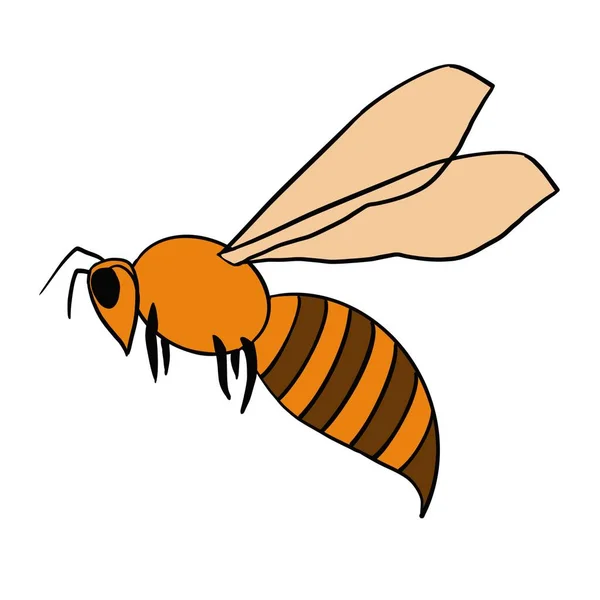 Honig Süße Imkerei Bienen Bienen Sammeln Honig Bienenprodukte Honiggläser Eine — Stockfoto