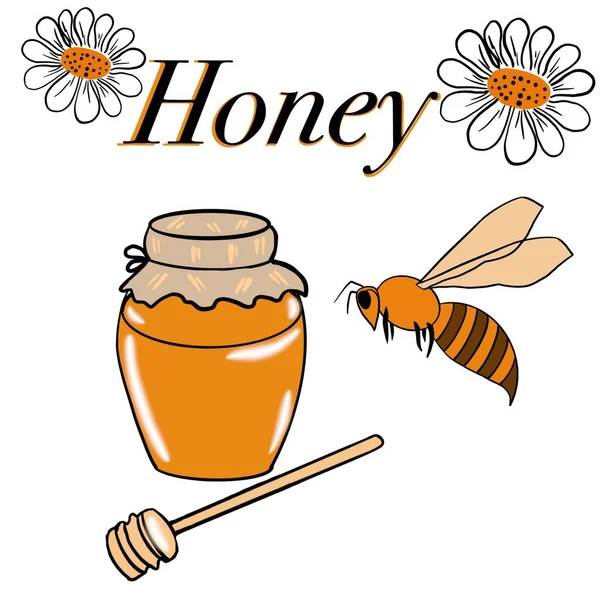 Мед Сладость Пасека Пчелы Пчелы Собирают Мед Пчелиные Продукты Банки Стоковое Фото