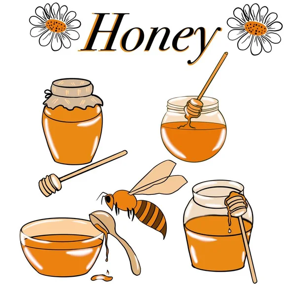 Мед Сладость Пасека Пчелы Пчелы Собирают Мед Пчелиные Продукты Банки Лицензионные Стоковые Изображения