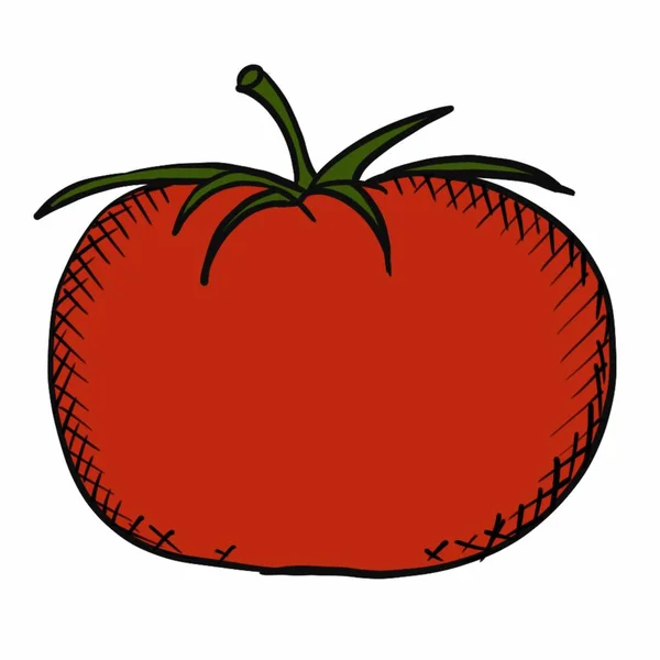 Sebzeler Gıdalar Bitkiler Yiyecekler Vegan Yiyecekler Kırmızı Sarı Yeşil Turuncu — Stok fotoğraf