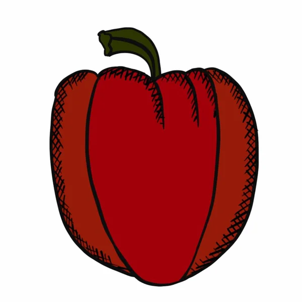 Sebzeler Gıdalar Bitkiler Yiyecekler Vegan Yiyecekler Kırmızı Sarı Yeşil Turuncu — Stok fotoğraf
