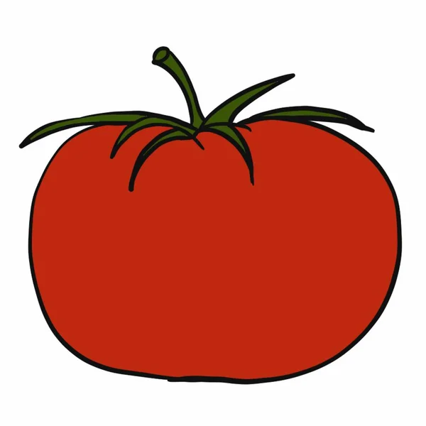 Zöldségek Élelmiszerek Növények Élelmiszer Vegán Élelmiszer Piros Sárga Zöld Narancs — Stock Fotó