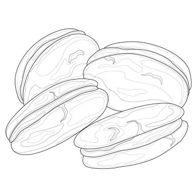 Kurabiye. Tatlı. Çocuklar ve yetişkinler için boyama kitabı antistresi. Resimler beyaz arka planda izole edildi. Zen-karmaşası tarzı. El çizimi