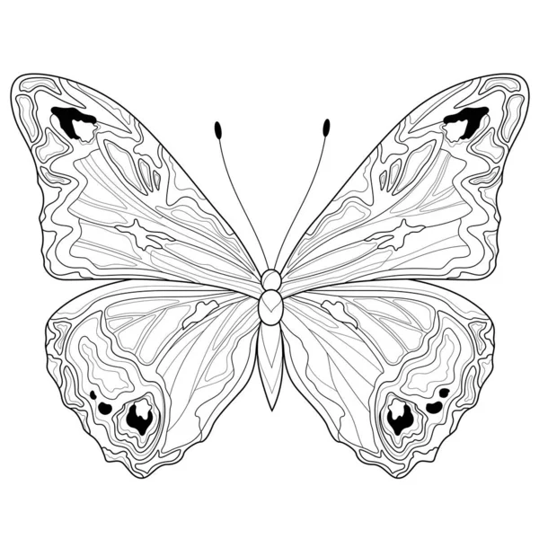 Butterfly Målarbok Antistress För Barn Och Vuxna Illustration Isolerad Vit — Stock vektor