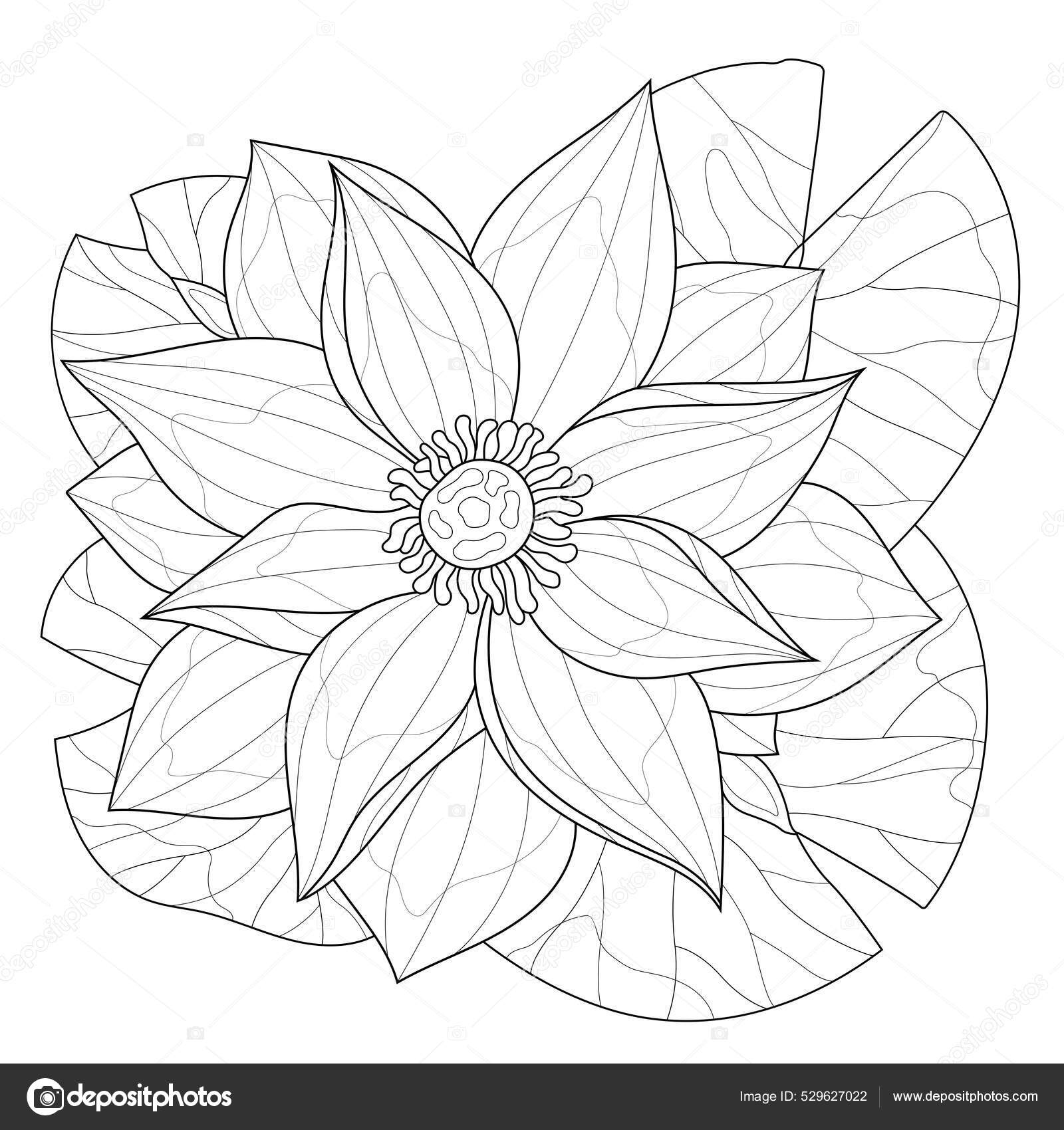 Lotus Flower Coloring Book Antistress Children Adults Illustration