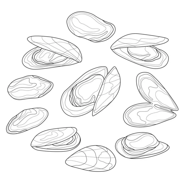 Mussels Voedsel Kleurboek Antistress Volwassenen Illustratie Geïsoleerd Witte Achtergrond Zwart — Stockvector