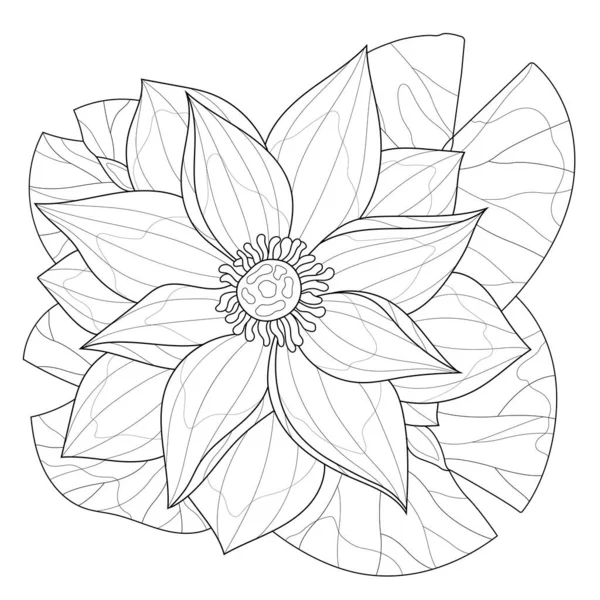 Lotus Flower Coloring Book Antistress Children Adult 배경에 Zen Tangle — 스톡 벡터