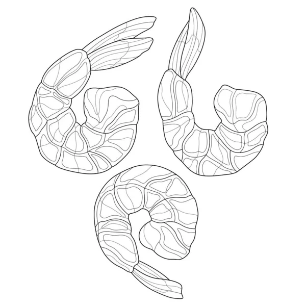 Shrimp Food Coloring Book Antistress Adults Illustration Isolated White Background — 图库矢量图片