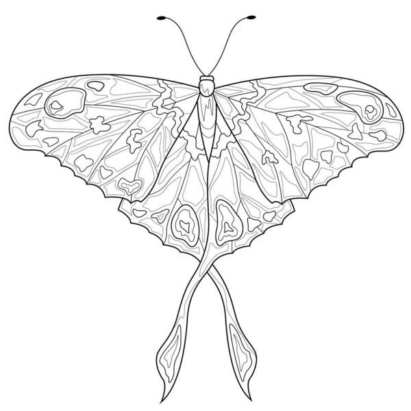 Butterfly Colorare Libro Antistress Bambini Adulti Illustrazione Isolata Sfondo Bianco — Vettoriale Stock