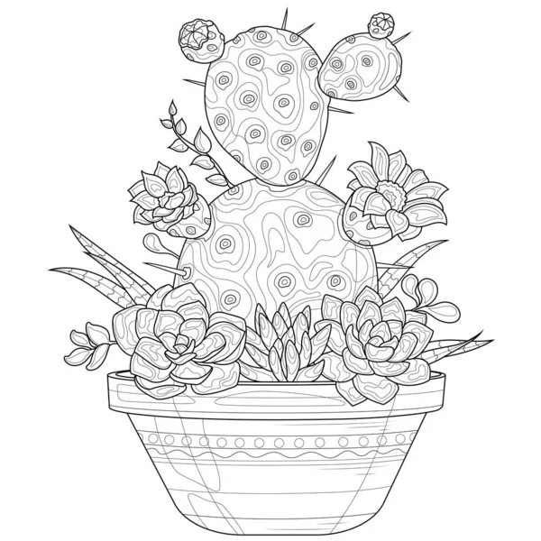 Cactus Succulents Flowerpot Coloring Book Antistress Children Adults Illustration Isolated — Stock Vector