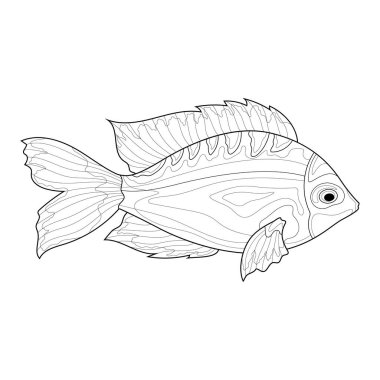 Balık. Siyah beyaz eskiz. Çocuklar ve yetişkinler için boyama kitabı antistresi. Resimler beyaz arka planda izole edildi. Zen-karmaşası tarzı. El çizimi