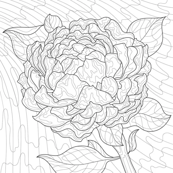 Peony Flower Coloring Book Antistress Children Adults Illustration Isolated White — Stockvektor