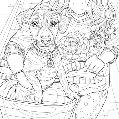 Girl with a dog in a bicycle basket.Jack Russell.Coloring book antistress for children and adults. Illustration isolated on white background.Zen-tangle style. Hand draw clipart