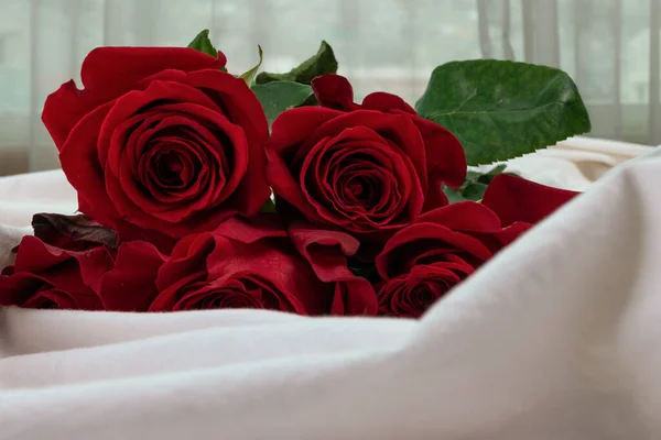 Головка Красных Роз Деталь Букета Свежих Натуральных Цветов Стиль Элегантность — стоковое фото